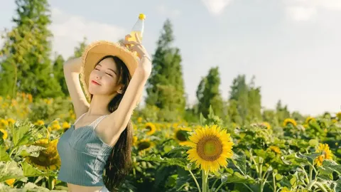 舆情通报时间表责任人